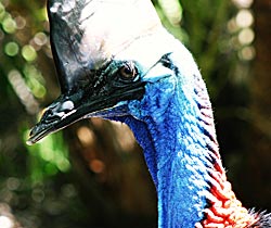 Alma Park Zoo - Timeshare Accommodation 0