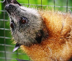 Alma Park Zoo - Timeshare Accommodation 2