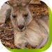 Bossley Park NSW Timeshare Accommodation