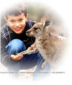 Australia Walkabout Wildlife Park - Timeshare Accommodation 1