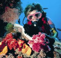 Gold Coast Seaway Dive Site - Timeshare Accommodation
