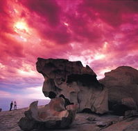 Kangaroo Island Adventure Tour 2 day/1 night