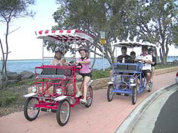 Book Hervey Bay QLD Attractions Timeshare Accommodation Timeshare Accommodation