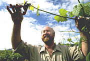 Barossa Valley SA Timeshare Accommodation