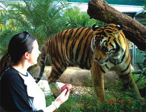 Crocodylus Park - Timeshare Accommodation 1