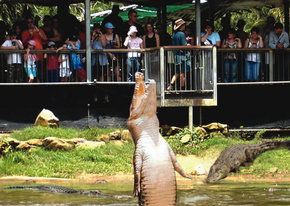 Crocodylus Park - Timeshare Accommodation 2