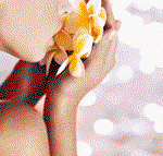 Tranquillity Spa  Beauty - Timeshare Accommodation