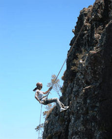 Adventures Around Brisbane - Timeshare Accommodation 1