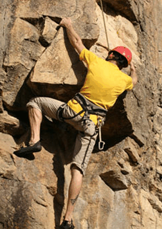 Adventures Around Brisbane - Timeshare Accommodation 3