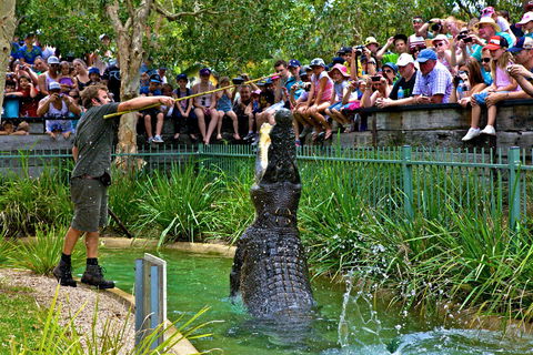 Australian Reptile Park - Timeshare Accommodation 4