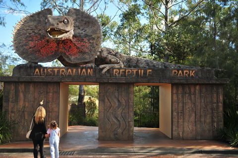 Australian Reptile Park - Timeshare Accommodation 5