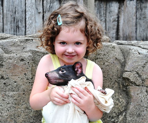 Australian Reptile Park - Timeshare Accommodation 8