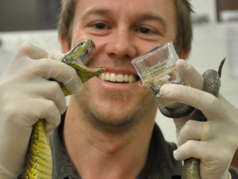 Australian Reptile Park - Timeshare Accommodation 9