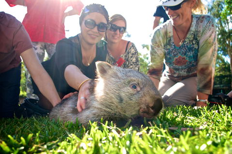 Australian Reptile Park - Timeshare Accommodation 10