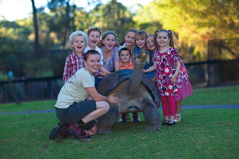 Australian Reptile Park - Timeshare Accommodation 11