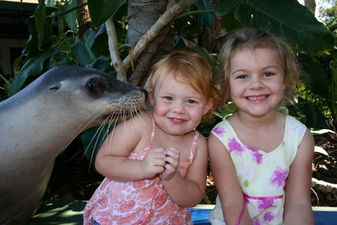Dolphin Marine Magic - Timeshare Accommodation 0