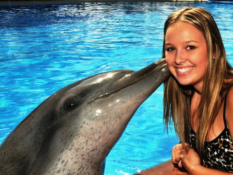 Dolphin Marine Magic - Timeshare Accommodation 3