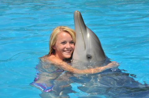 Dolphin Marine Magic - Timeshare Accommodation 5