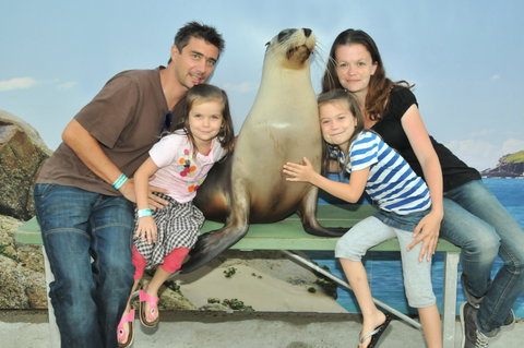 Dolphin Marine Magic - Timeshare Accommodation 6