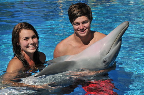Dolphin Marine Magic - Timeshare Accommodation 8
