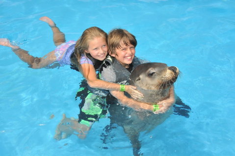 Dolphin Marine Magic - Timeshare Accommodation 9