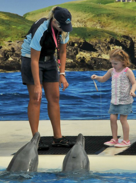 Dolphin Marine Magic - Timeshare Accommodation 10