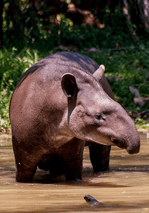 Alma Park Zoo - Timeshare Accommodation 4