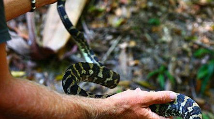 Queensland Day Tours - Timeshare Accommodation 1