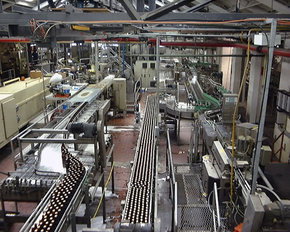 Cascade Brewery Tour - Timeshare Accommodation 2