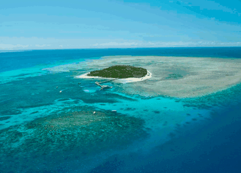 Big Cat Green Island Reef Cruises - Timeshare Accommodation 1