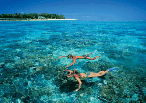 Big Cat Green Island Reef Cruises - Timeshare Accommodation 4