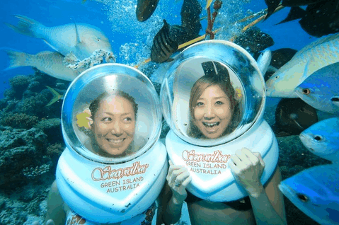 Big Cat Green Island Reef Cruises - Timeshare Accommodation 5