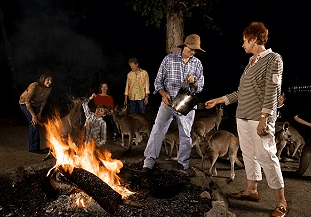 Cairns Night Zoo - Timeshare Accommodation 0