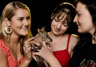 Cairns Night Zoo - Timeshare Accommodation 1