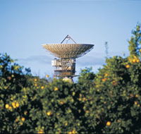 Big Dish - Timeshare Accommodation