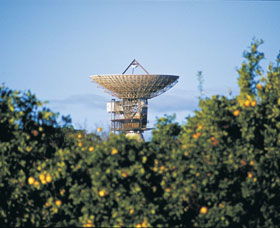Big Dish - Timeshare Accommodation 0