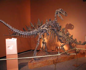 Denmark Dinosaur World - Timeshare Accommodation 0