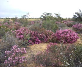 Reynoldson's Flora Reserve - Timeshare Accommodation 0