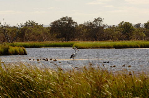 Anytime Adventures In Mandurah & The Peel Region - Timeshare Accommodation 0
