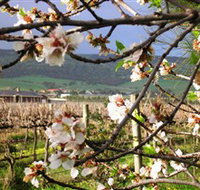 Cradle of Hills McLaren Vale Winery - Timeshare Accommodation