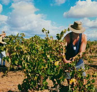 Torbreck Vintners - Timeshare Accommodation