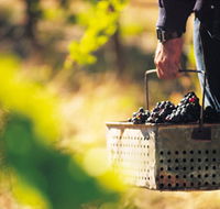 Burge Family Winemakers - Timeshare Accommodation