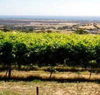 Braydun Hill Vineyard