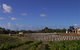 Deep Creek Wines And Alpacas - thumb 0