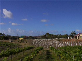 Deep Creek Wines And Alpacas - Timeshare Accommodation 0