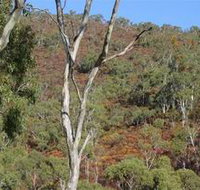 Black Hill Conservation Park - Timeshare Accommodation