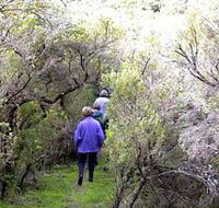 Jack And Hilda McArthur Walk - Timeshare Accommodation