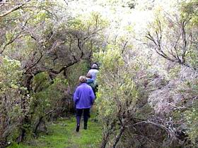 Jack And Hilda McArthur Walk - Timeshare Accommodation 0