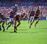 AAMI Stadium Tours - Timeshare Accommodation