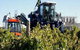 Ballast Stone Estate Wines Pty Ltd - thumb 0